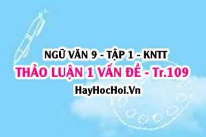 Soạn bài Thảo luận về một vấn đề đáng quan tâm trong đời sống trang 109 Ngữ văn lớp 9 tập 1 Kết nối tri thức